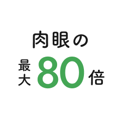 肉眼の最大80倍
